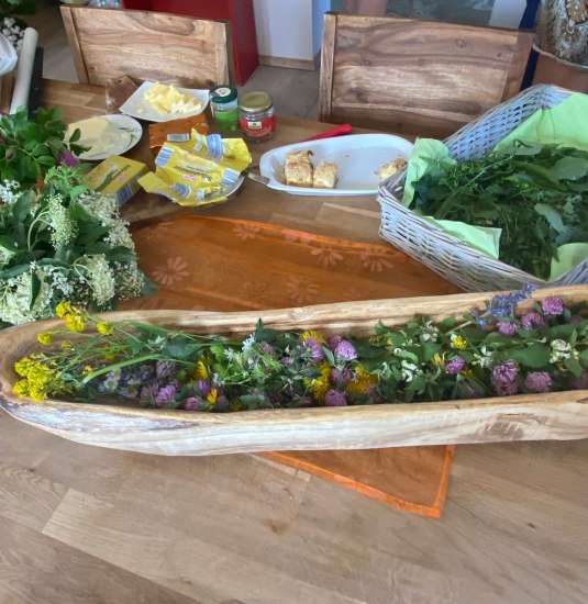 Rosen | © Angelika Hölz Rosen | © Angelika Hölz