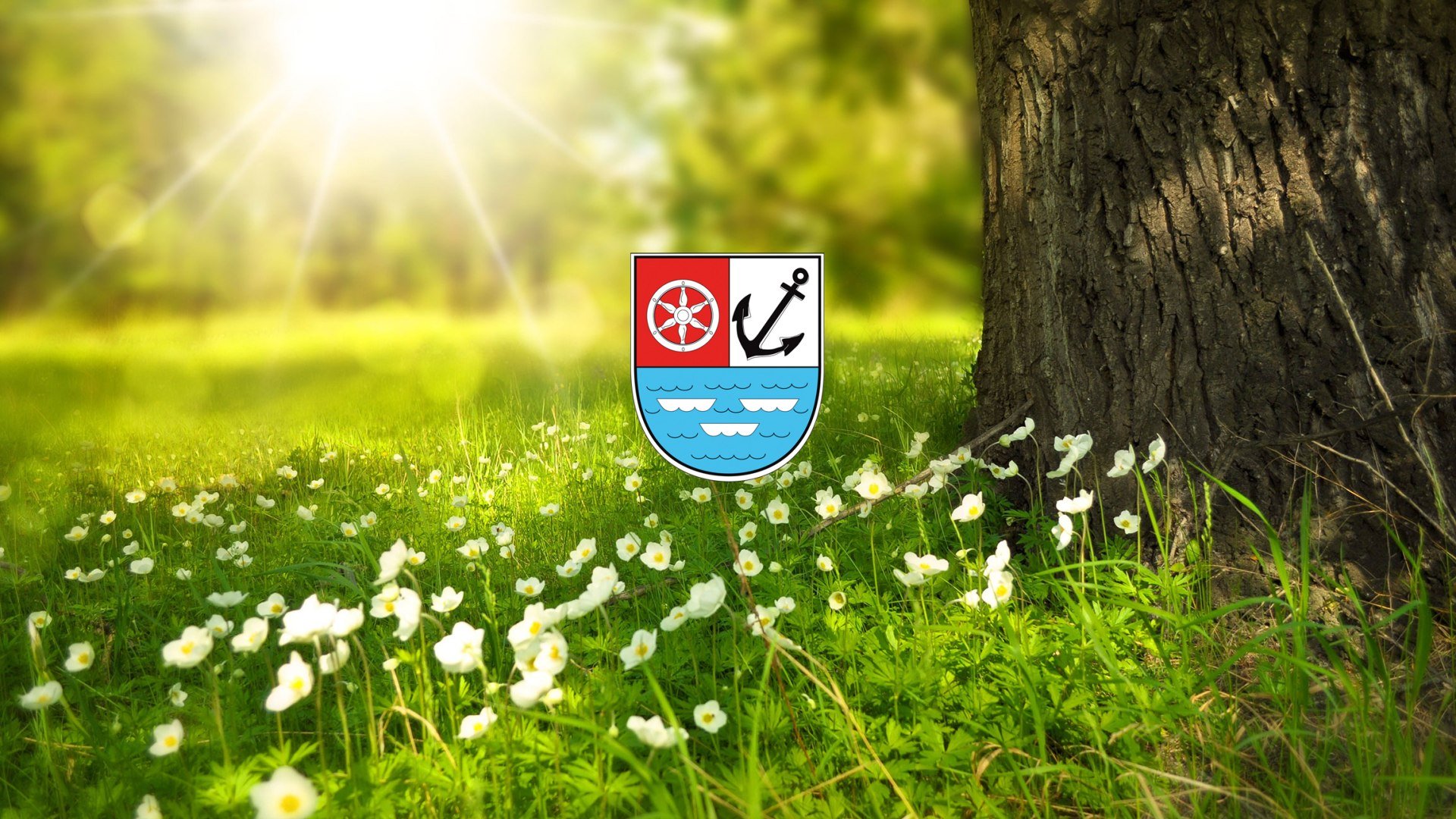 Natur | © Larisa Koshkina / Pixabay Natur | © Larisa Koshkina / Pixabay