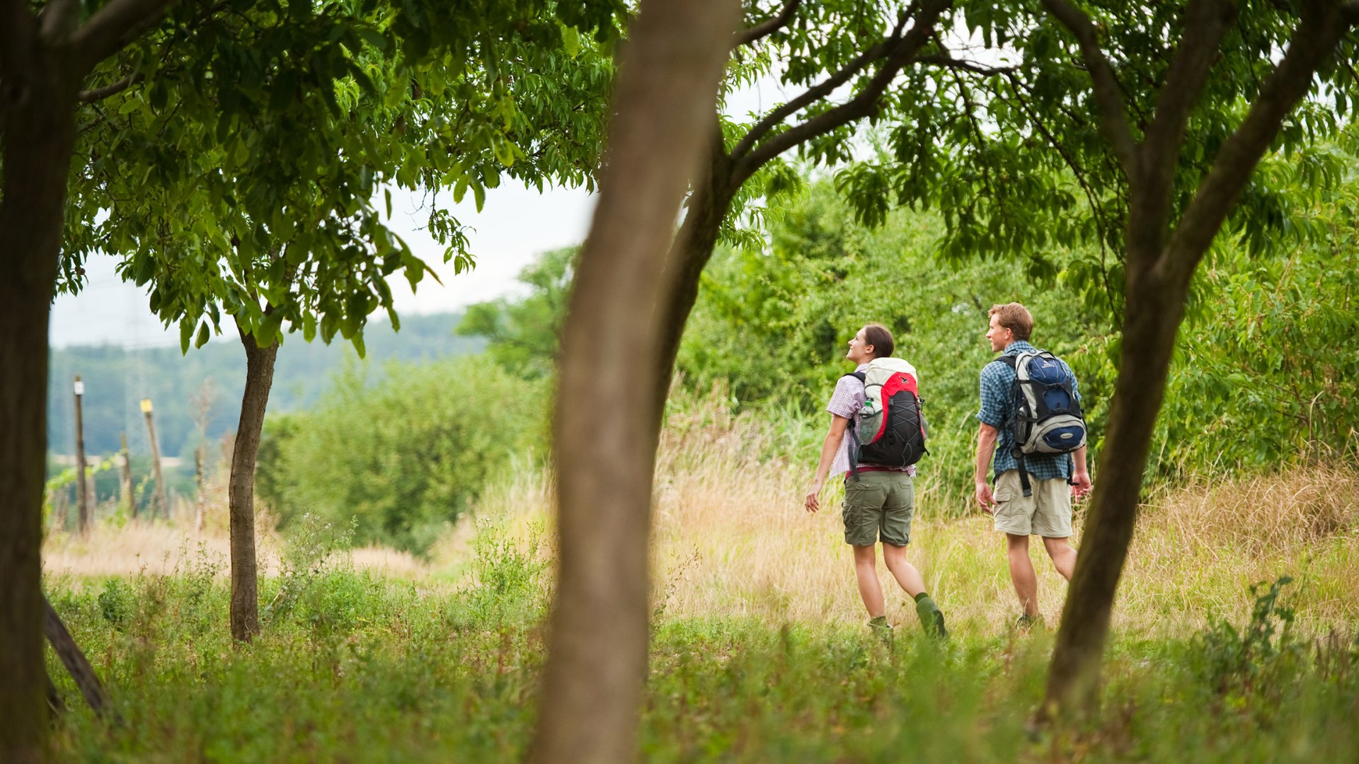 Wandern rund um Trechtingshausen | © Dominik Ketz