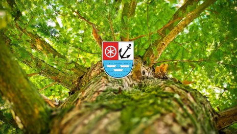 Natur | &copy; Ich bin dann mal raus hier. / Pixabay