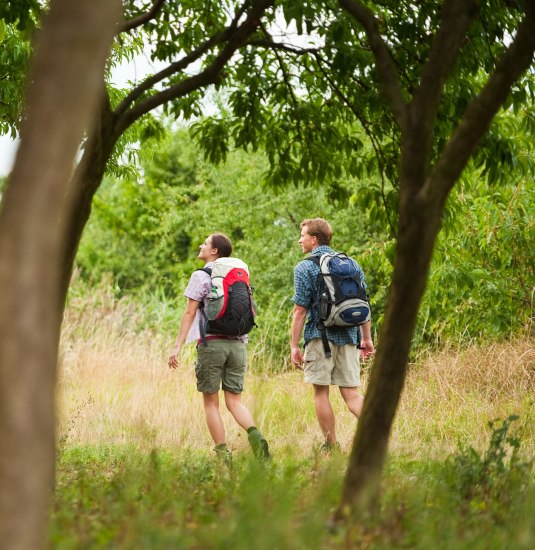 Wandern rund um Trechtingshausen | © Dominik Ketz