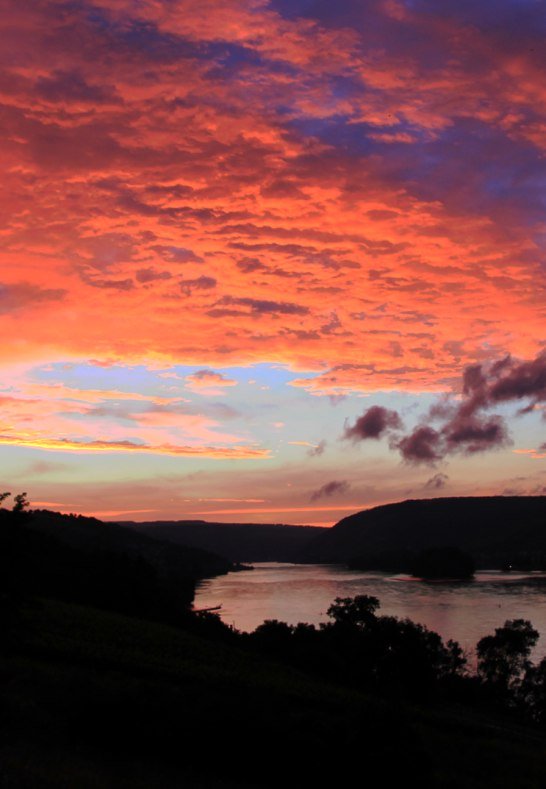 Blick auf Trechtingshausen | &copy; Norbert Sch&ouml;ck
