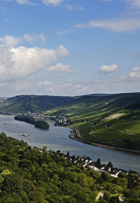 Blick auf Trechtingshausen | © Norbert Schöck Blick auf Trechtingshausen | © Norbert Schöck
