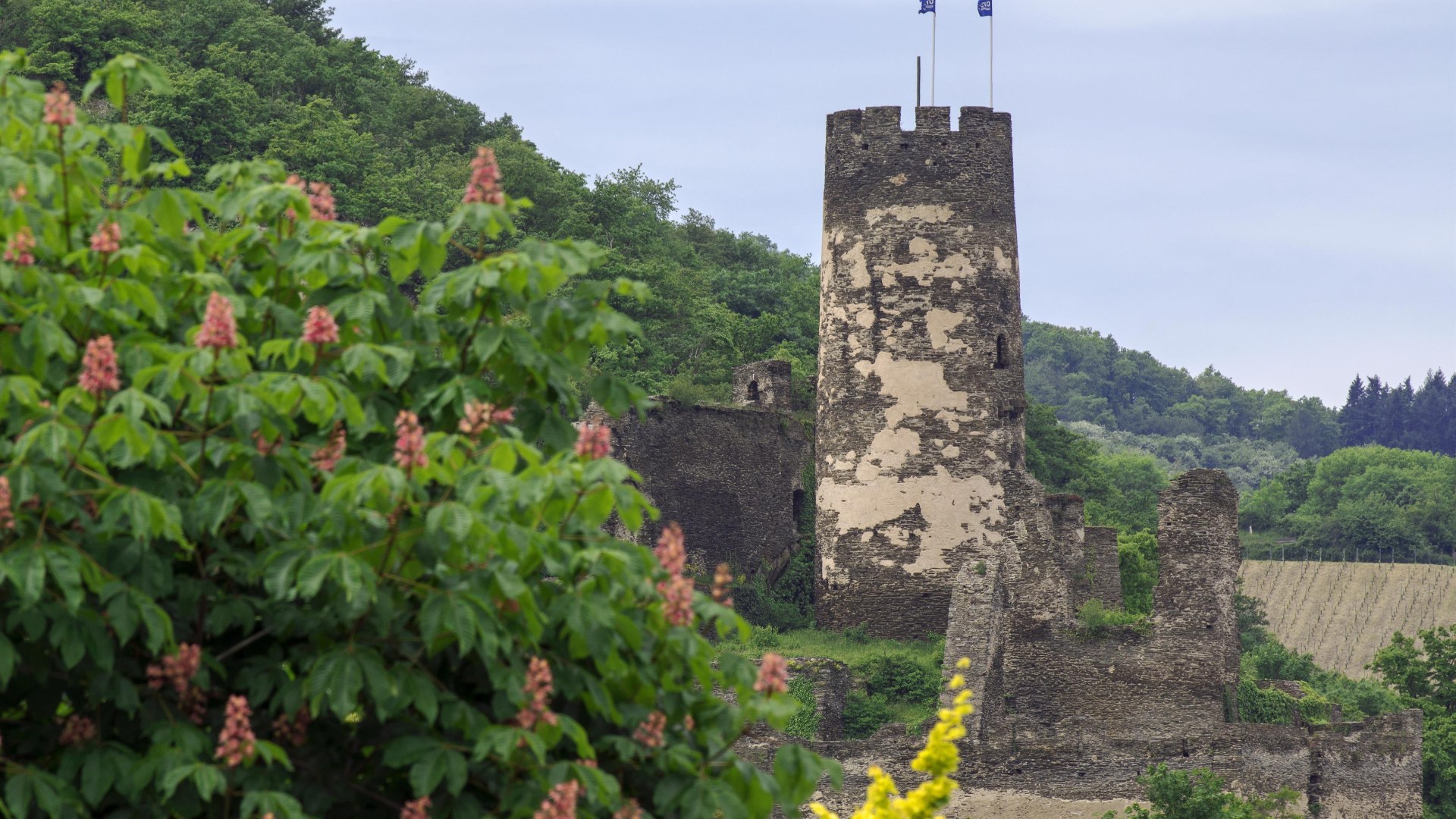 F&uuml;rstenberg im Fr&uuml;hjahr | &copy; Friedrich Gier