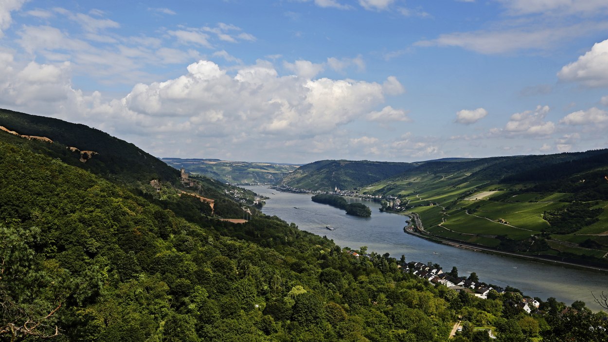 Blick auf Trechtingshausen | © Norbert Schöck