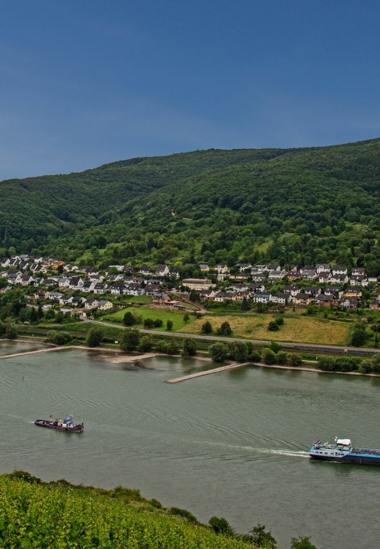 Blick auf Trechtingshausen | © Norbert Schöck