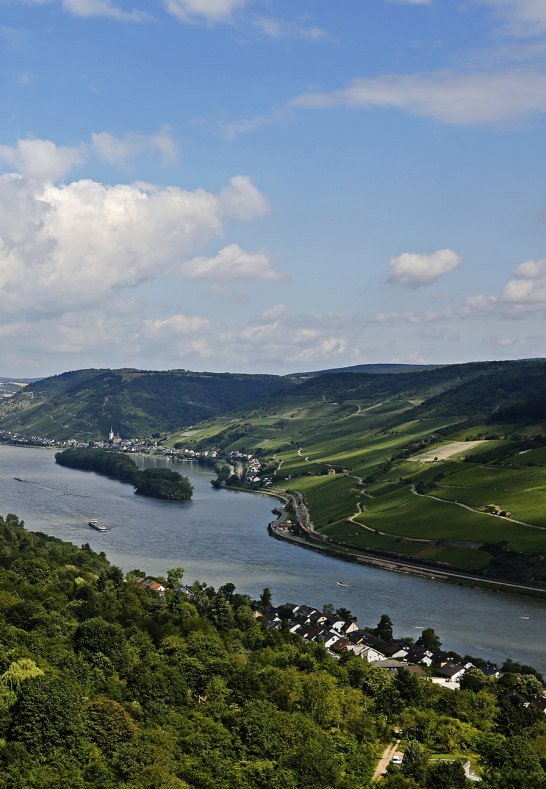 Blick auf Trechtingshausen | © Norbert Schöck