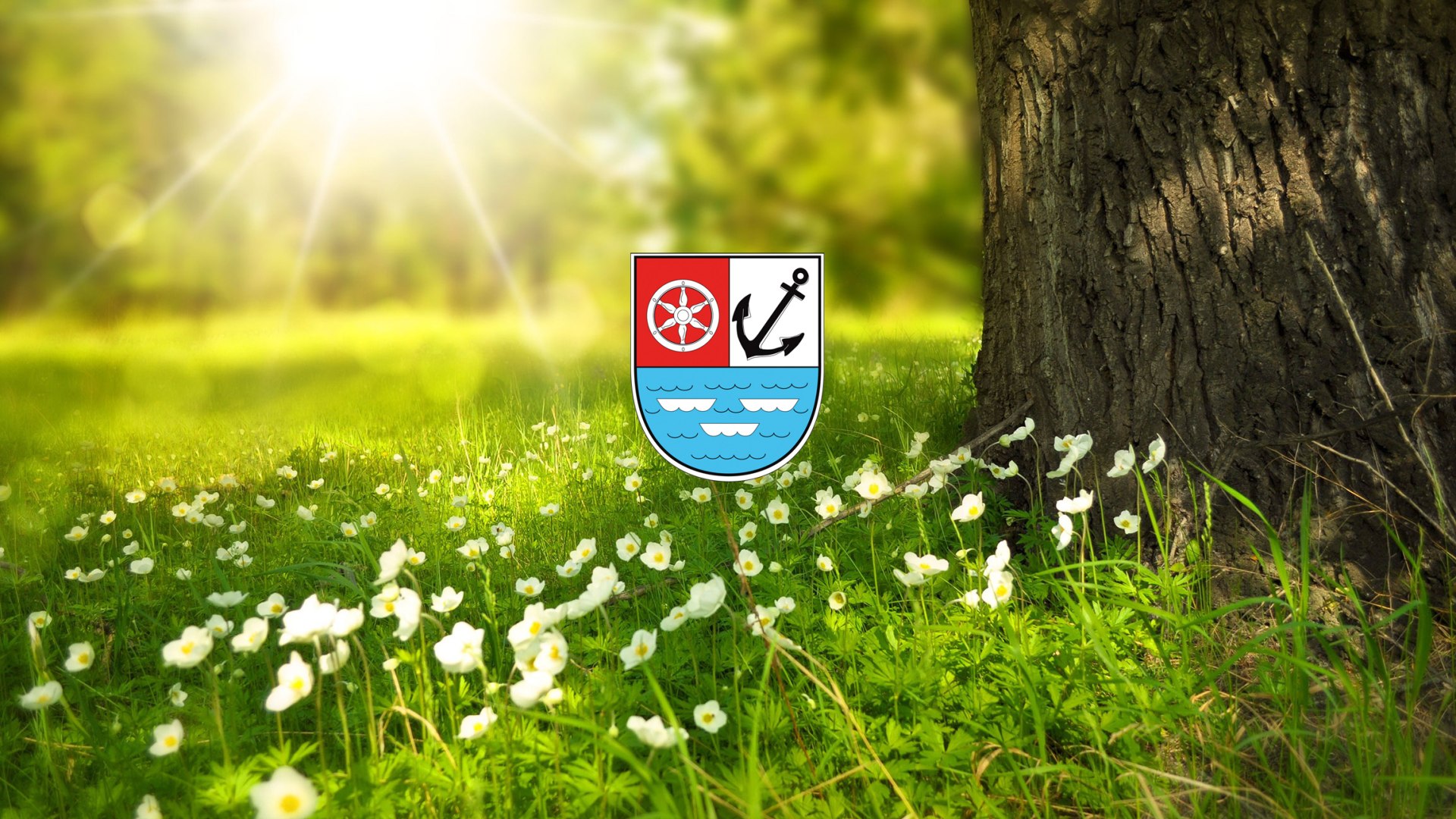 Natur | &copy; Larisa Koshkina / Pixabay