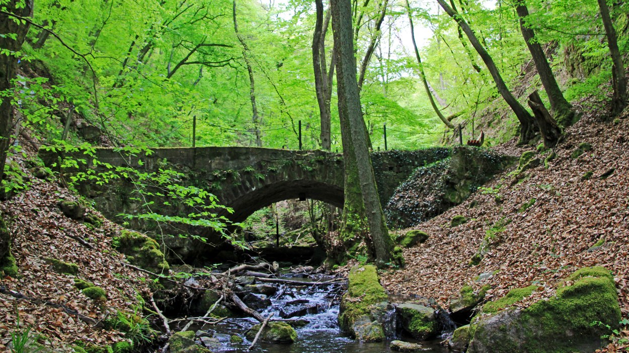 Morgenbachtal bei Trechtingshausen | © Norbert Schöck