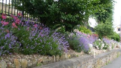 Blumenschmuck in Trechtingshausen | © Trudi Elsner