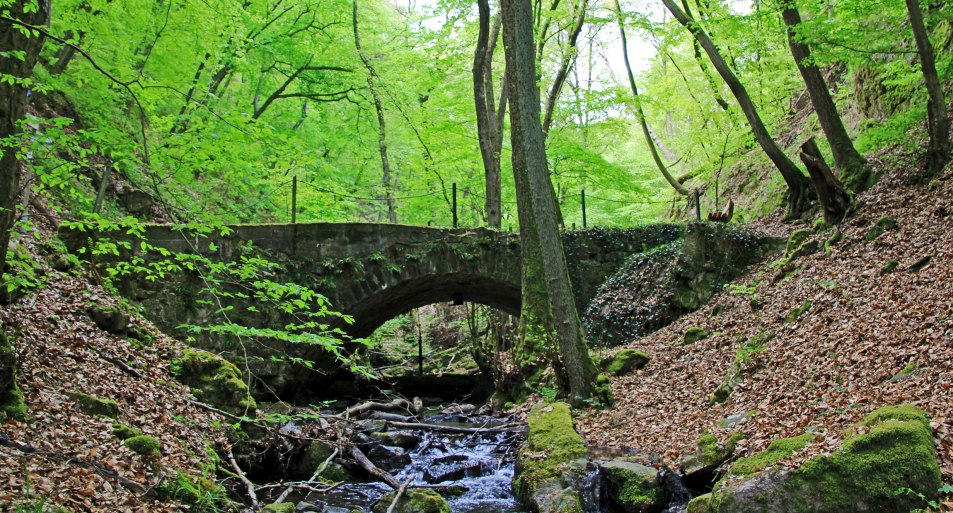 Morgenbachtal bei Trechtingshausen | © Norbert Schöck