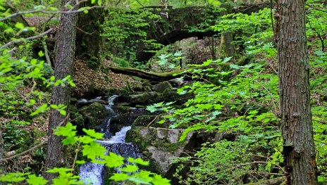 Im Morgenbachtal bei Trechtingshausen | &copy; Norbert Sch&ouml;ck