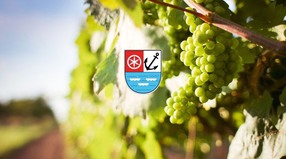 Natur | &copy; picjumbo.com / Pexels