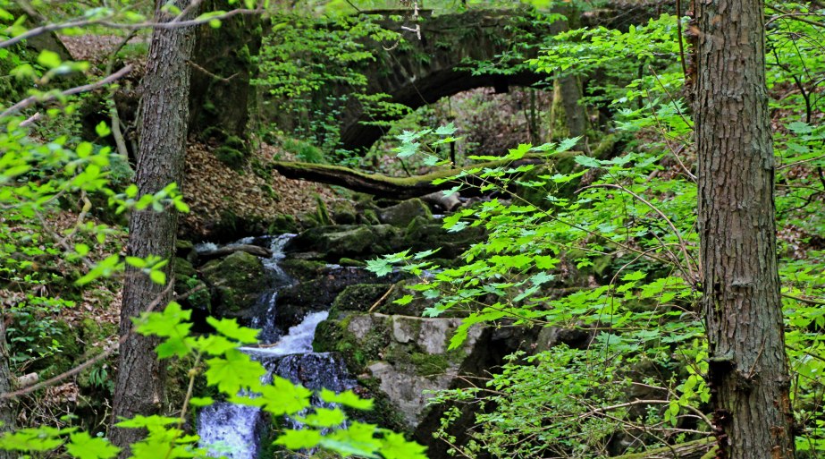 Im Morgenbachtal bei Trechtingshausen | &copy; Norbert Sch&ouml;ck