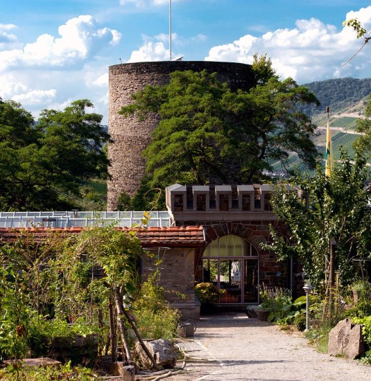 Burggärtnerei | © Christian Lenz Burggärtnerei | © Christian Lenz