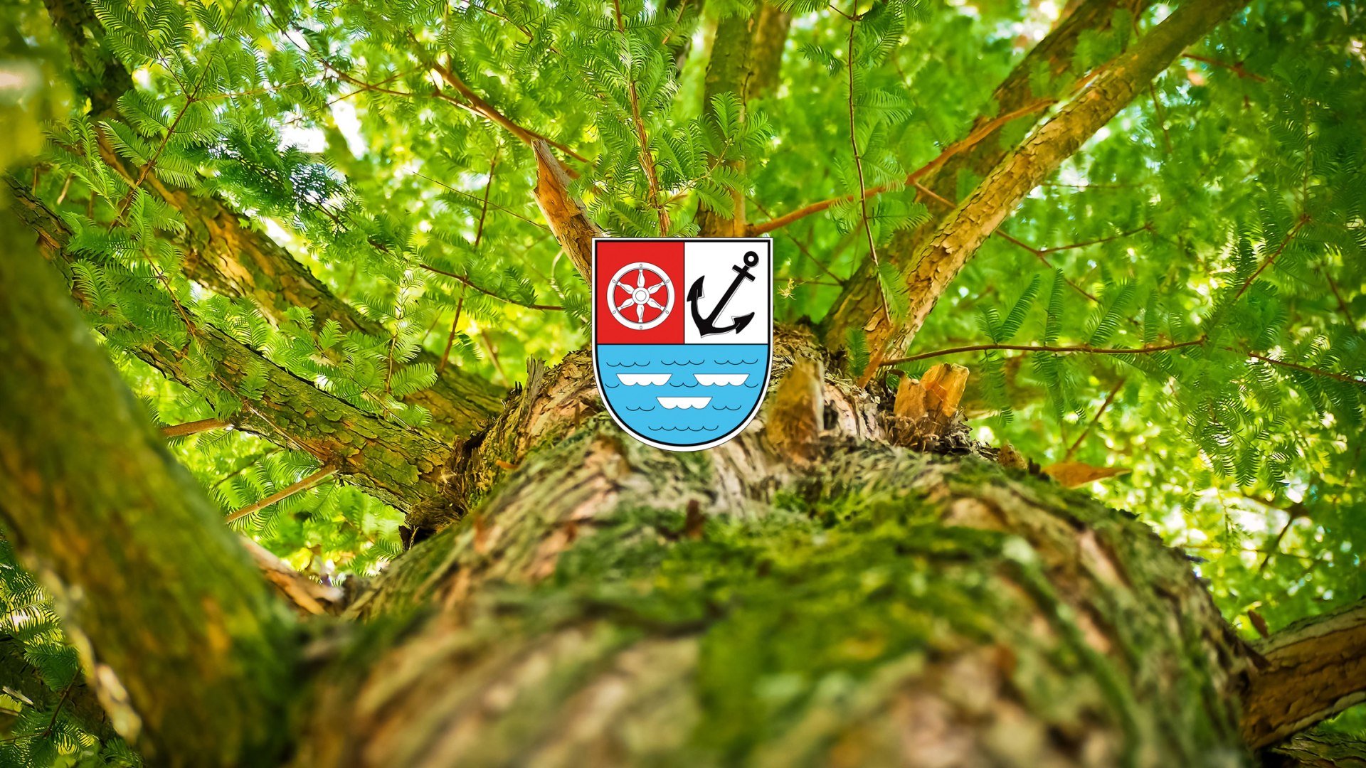 Natur | &copy; Ich bin dann mal raus hier. / Pixabay