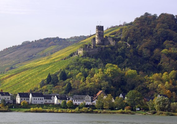 Ruine Fürstenberg | © Friedrich Gier Ruine Fürstenberg | © Friedrich Gier