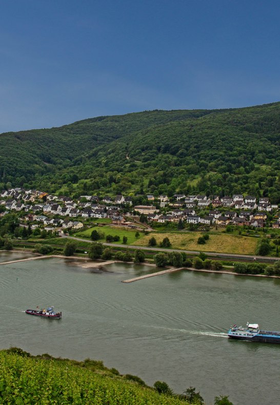 Blick auf Trechtingshausen | © Norbert Schöck Blick auf Trechtingshausen | © Norbert Schöck