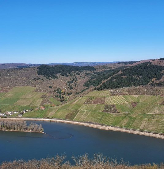 Lorch und Lorcher Werth | &copy; Heinz Lucas