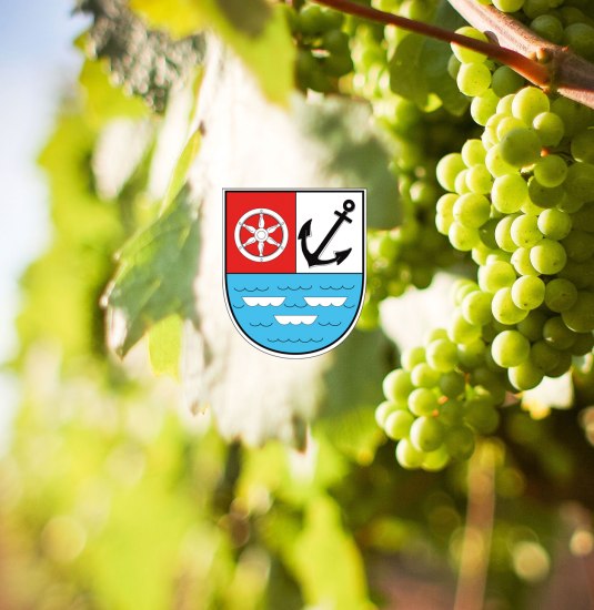 Natur | © picjumbo.com / Pexels Natur | © picjumbo.com / Pexels