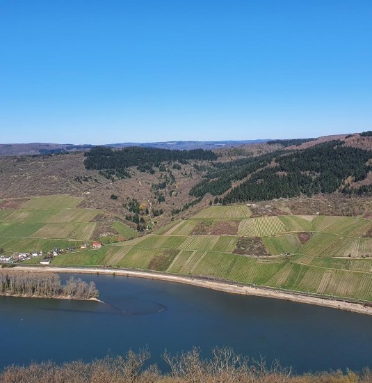 Lorch und Lorcher Werth | &copy; Heinz Lucas