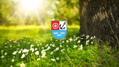 Natur | &copy; Larisa Koshkina / Pixabay