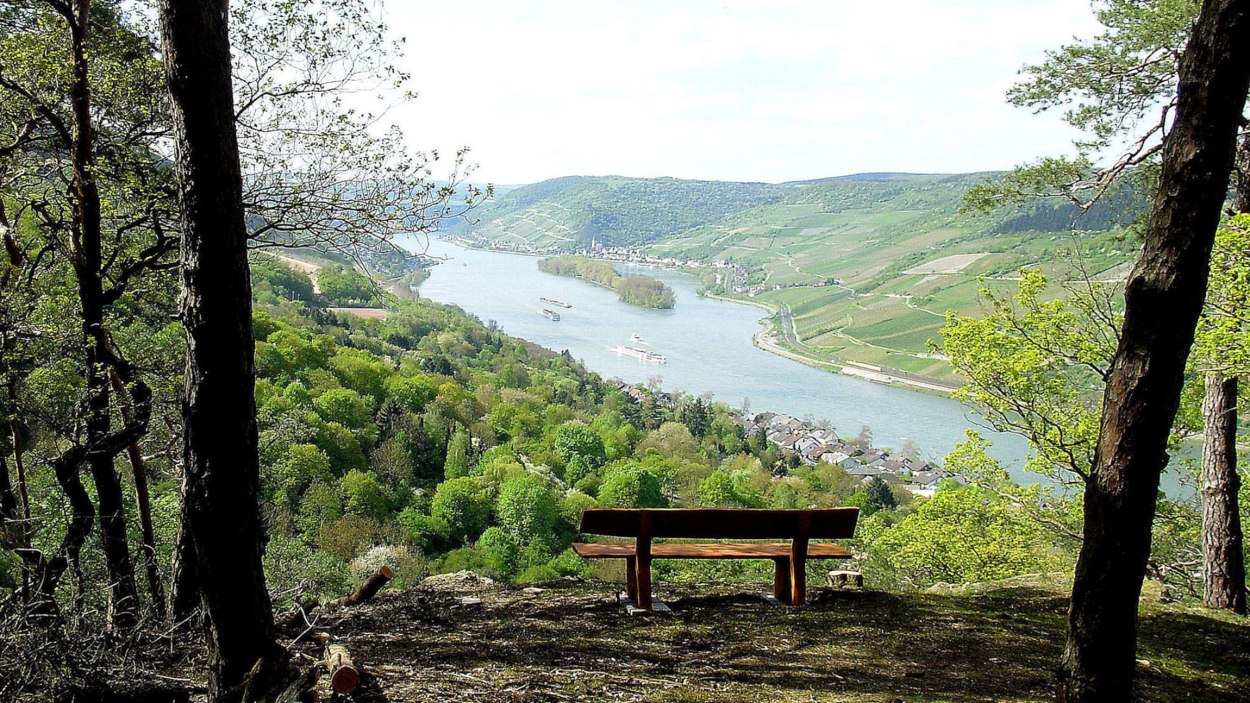 Blick auf Trechtingshausen | © Karl Heinz Dahlem